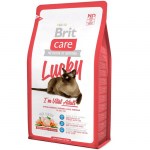 brit-care-cat-lucky