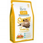 brit-care-cat-sunny